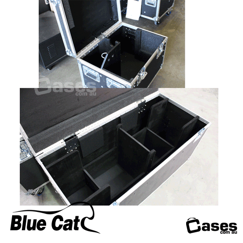 Motor Case / Electric Hoist Cases (Twin 1 Tonne Hoists)